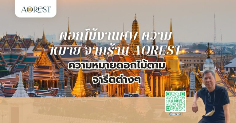 ดอกไม้งานศพ ความหมาย จากร้าน Aorest ความหมายดอกไม้ต่างๆ