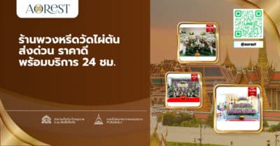 ร้านพวงหรีดวัดไผ่ตัน สั่งวันนี้ส่งทันสวดไหม? พิกัดวัด ราคา และวิธีสั่ง ปี 2569